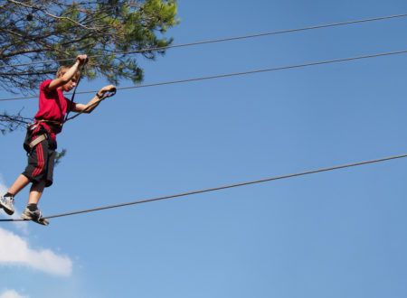 Tree climbing